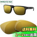 偏光レンズはOakley Holbrook用交換レンズです (ブロンズ...(4)