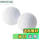 【送料無料】キャプテンスタッグ(CAPTAIN STAG) レジャー 野球 ボール CS 野球ボール ソフトタイプ 2個入り UX-2589