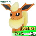 三英貿易(Sanei Boeki) ポケットモンスター ALL STAR COLLECTION ブースター (S) W9×D18×H19cm ぬいぐるみ ポケモン PP112
