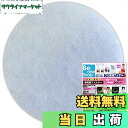 【送料無料】ビーワンショップ 給気口フィルター (直径130mm丸型) 10枚入 ・大建プラスチックス DK150M4 / ~125SAZM / ~125SAZK ビッグ (BIG) MP-150K対応 換気口 互換フィルター (C130)