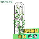 【送料無料】Rxakudedo アイアンフェンス 園芸 フェンス ガーデンフェンス ハイタイプ 高さ180cm ローズフェンス 蔓性植物用支柱 フェンス