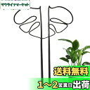 GLOWZEN モンステラ 支柱 園芸支柱 観葉植物 植物サポート 花支架 ガーデニング支柱 モンステラフラワースタンド 農業用 園芸用 成長段階 植物倒れ防止 手で調整可能 1個入り(黒)