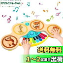 ピアノ おもちゃ Cute Stone 2in1遊び方 楽器 おもちゃ 高品質木材 ドラム 子供おもちゃ 4種類ドラムモード 6曲の音楽 音量調整 録音再生 多...
