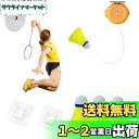 KASELIN 室内バドミントンセット 1人バドミントン 自動リバウンド 練習器具 家での練習 バウンド練習補助 愛好者対応 自己粘着 吊り下げ 持ち運びに 便利 軽量 弾性 初心者 3球付き/6球付き (3つのボール)