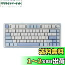 EPOMAKER x Aula F75 ゲーミングキーボード ガスケット メカニカルキーボード 5層パッド&ノブ付き 75% ワイヤレス ホットスワッパブル Bluetooth/2.4GHz/USB-C RGB 技適認証取得 (Sea Salt Blue, LEOBOG Reaper Switch)