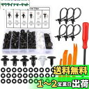 xuanli NEW汎用自動車用プッシュリベットセット トヨタ/日産/ダイハツ対応 プラスチック製トリム・内張りクリップ 100個+取り外し工具付 (6種類)