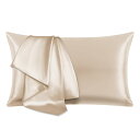 【送料無料】HEVUMYI シルク枕カバー 100%マルベリーシルク 25匁 43×63cm 洗えるシルクピローケース 片面シルクタイプ 裏地テンセル 封筒式まくらカバー 美肌美髪 敏感肌に優しい 抗菌防臭 四季適応 クリスマス 新年ギフト 贈り物 1枚 シャンパン