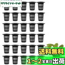 LIKENNY 水耕栽培鉢 定植かご プラスチックメッシュポット 植物育成カップ 水耕栽培ポット 園芸 庭園 ガーデンニング 苗運搬 植物栽培 無肥料 養液 有機栽培 水培養 定植育苗かご 幅広い使用 円筒形 (30個セット)
