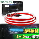 GZRUICA LED テープ フードライト LEDテープライト 車用 防水 側面発光 極薄型 シリコン 流れる LEDテープ ボンネットライト ディライト 汎...