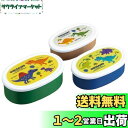 【送料無料】スケーター(Skater) 弁当箱 シール容器 保存容器 3個組 ディノサウルス ピクチャー 日本製 860ml SRS3SAG-A