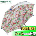 【送料無料】スケーター(Skater) 子供用 傘 40cm トイストーリー 3~4才向け 約95~105cm 園児向け 視界が確保できる透明窓付き 指を挟みにくい手開き式 8本骨 ディズニー 男の子 UB40-A