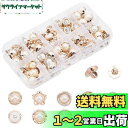 PH PandaHall パールボタン 10種100個セット 真珠 縫製ボタン アクセサリーパーツ 10~13mm 飾り ボタン 手芸材料