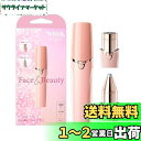 Schick(シック) ハイドロシルク Face & Beauty 女性用 フェイスシェーバー 顔 眉 スティックタイプ 1個 (x 1) シェーバー レディー...