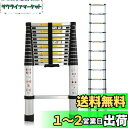 DayPlus 伸縮はしご 最長3.8 m (12.5 ft) 折り畳み伸縮梯子 多機能アルミはしご 持ち運びに便利 軽量 耐荷重150 kg 室内室外両用 自...