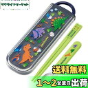スケーター(Skater) 箸 スプーンセット ディノサウルス CCA1 日本製-A