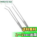 ピンセット 長い 水槽用ピンセットロング 27cm アクアリウム 2本セット ハーバリウム制作用 爬虫類飼育 水草 ステンレス 長いサイズ 細かい 実用 便利 多機能 水族館用 ストレート & カーブ (2点セット)