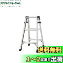 長谷川工業(Hasegawa) アルミ軽量はしご兼用脚立 天板トレー付 (81cm) RC2.0-09 (16320)