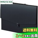 セキセイ(Sekisei) ドキュメントファイル アルタートケース フラット A3 ブラック ART-702