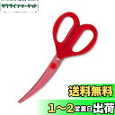 貝印 KAI キッチンはさみ 料理家の逸品 カーブ 日本製 DH2501