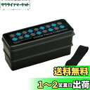 【送料無料】スケーター(Skater) 弁当箱 2段 シリコン製内蓋付 900ml 大容量 ランチボックス マスターピース ブラック 男性用 日本製 SSLW9