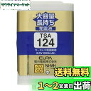 【送料無料】エルパ (ELPA) 大容量長持ち充電池 パナソニック他同等品 3.6V 800mAh ニッケル水素充電池 TSA-124