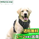 Rabbitgoo 犬 ハーネス 大型犬 20-32KG ソフト かわいい 犬用胴輪 引っ張り防止 負担が少ない首輪 サイズ調整可 夜間反射 抜けない 通気性 咳き込み防止 散歩 歩行補助 老犬介護 しつけ 運動向き 犬 小型犬 中型犬 柴犬 秋田犬 (黒)