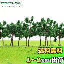 情景コレクション 樹木 モデルツリー ツリー模型 5cm 1:25~1:300 N HOゲージ用 40本 風景 箱庭 鉄道模型 建物模型 ジオラマ 教育 DIY