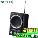 ELPA(エルパ) AM/FMスピーカーラジオ テレビにつなぐと手元で聴ける ER-SP39F