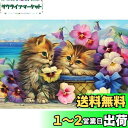 DIYクロスステッチキットダイヤモンド絵画5D塗装キット、素敵な猫の子猫の花WOWDECORフルドリルDIYダイヤモンドアートペイント数字油絵 (ネコ)