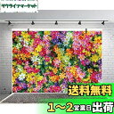 Qinunipoto 背景布 背景紙 写真背景布 写真 撮影用 布 撮影背景 花の背景 色とりどりの花 ロマンチックな背景 結婚式 結婚用 礼儀作法の装飾 背景シート 小道具 スクリーン 背景ポスター ビニール 1.5m x 1m