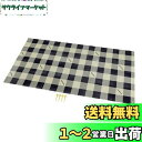 キャプテンスタッグ(CAPTAIN STAG) レジャーシート マット クッションレジャーシート 90×180cm 厚さ1mm 約1畳 収納バッグ付き ピン4本付き ギンガムチェック UB-3061