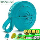 PROIRON レジスタンスバンド 抵抗バンド トレーニングバンド 天然ラテックス製 緑 (6.7-13KG)