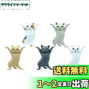 MRZJ JKR猫ペンホルダーネコのペンおき 全5種セットトペンホルダー (5PCS)