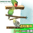 3点セット入り 止まり木 止まり台 爪を磨くりんごの木 自然木 噛むおもちゃ 爪を研ぎ パーチ インコ オウム 鳥 オウム 文鳥 おやすみボード 遊び道具 ケー...
