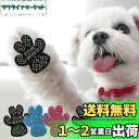 犬 滑り止め シール 【獣医師推奨】 PAW WING パウウイング Grip plus 【48枚入り】 犬用 くつ ペット 靴下 肉球 保護 傷防止 すべり 止め フット パッド フローリング 靴 (Mサイズ, Bサークル・ブラック)