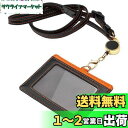 IDカードホルダー ネームホルダー 名札ホルダー 社員証 カードケース メンズ 伸縮リール式 脱着式 横型 両面用 ネックストラップ パスケース カード入れ 定...
