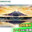 エポック社 2000スーパースモールピース ジグソーパズル 日本風景 ミスティックビュー 黄金のダイヤモンド富士 (38×53cm) 54-102 のり付き ヘラ付き 点数券付き EPOCH