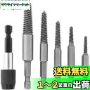 KEWAYO 6本 ネジ抽出器 潰れたネジ取り ネジ取り 破損したボルト 抜き取り器 破損スクリューエクストラクター 潰れたネジ 折れたボルトビス頭 抜くボルト...
