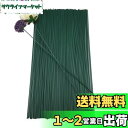 Dorasu 紙巻ワイヤー フローラルセット 造花の茎になる セット 花材 ワイヤー 地巻ワイヤーブーケの花包みと手芸用 100本 18cm