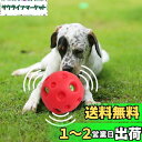 【送料無料】pet prime 犬 おもちゃ ボール 大型犬用 ぽわぽわ音が出る 硬くて丈夫な音の出るおもちゃ 大きな音が好きなワンちゃんに お手入れ簡単 中型犬 直径14cm