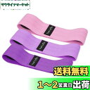 TheFitLife ヒップバンド 美尻 高耐久 トレーニングチューブ ストレッチ 内転筋 レジスタンスバンド トレーニング器具 エクササイズ 肌に優しい 筋トレ 軽量 フィットネス ヒップアップ ?力? 持ち運びやすい (ピンク/ラベンダー/パープル)