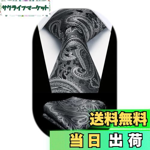 [HISDERN] ネクタイ メンズ ペイズリー柄 ネクタイ チーフ セット グレー ビジネス用 ネクタイ シルク ブランド 就活 二次会 礼服用 高級 派手 男性用