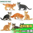 TOYMANY 猫フィギュア 動物フィギュア かわいい猫 8匹入 リアルな動物模型 猫モデル 人気動物 玩具 誕生日プレゼント クリスマス 新年 飾り物 コレクション 6歳以上