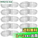 LOYELEY コイン ケース カプセル コインホルダー 内径27mm 20個セット 保護 透明 プラスチック コインケース クリアケース コレクション 記念 ...
