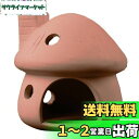 Charmoon 水槽 オブジェ きのこハウス 家 小屋 隠れ家 かわいい 置物 アクアリウム オーナメント (レッド)