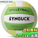 SYNGUCK バレーボール 5号球 ソフトバレーボール PU革 柔らかい 5号バレーボール 練習用 高校・大学・一般・婦人用 ビーチ用