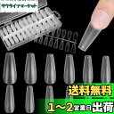 【送料無料】FINGOOO ネイルチップ 超薄 240枚 ロング クリア 長さ出し 長さだし ミディアム 付け爪 つけ爪 自然なフィット感 密着 (バレリーナL)