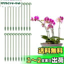 Coollooda 園芸支柱【20本組セット】観葉支柱 植物支柱 花ささえ 観葉植物 支柱棚 花支え ガーデニング 柱 植物サポート ガーデニング 家庭菜園 農...