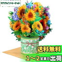 Kesote メッセージカード 立体 お見舞い 春 卒業 感謝 花 ひまわり ポップアップカード 紫陽花 飛び出す グリーティング バレンタイン 母の日 おしゃ...