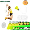 KASELIN 室内バドミントンセット 1人バドミントン 自動リバウンド 練習器具 家での練習 バウンド練習補助 愛好者対応 自己粘着 吊り下げ 持ち運びに 便利 軽量 弾性 初心者 3球付き/6球付き (6つのボール)